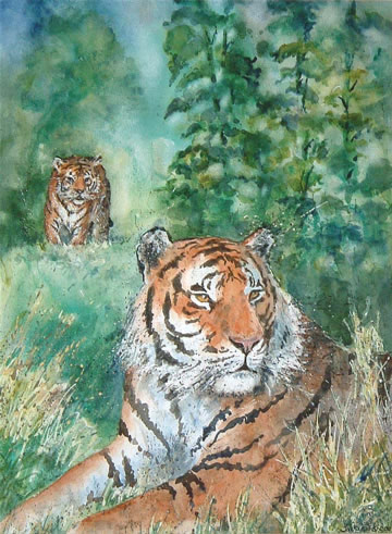 Tiger Spotted - 15 ½ x 11 ½ inches - Watercolour and gouache